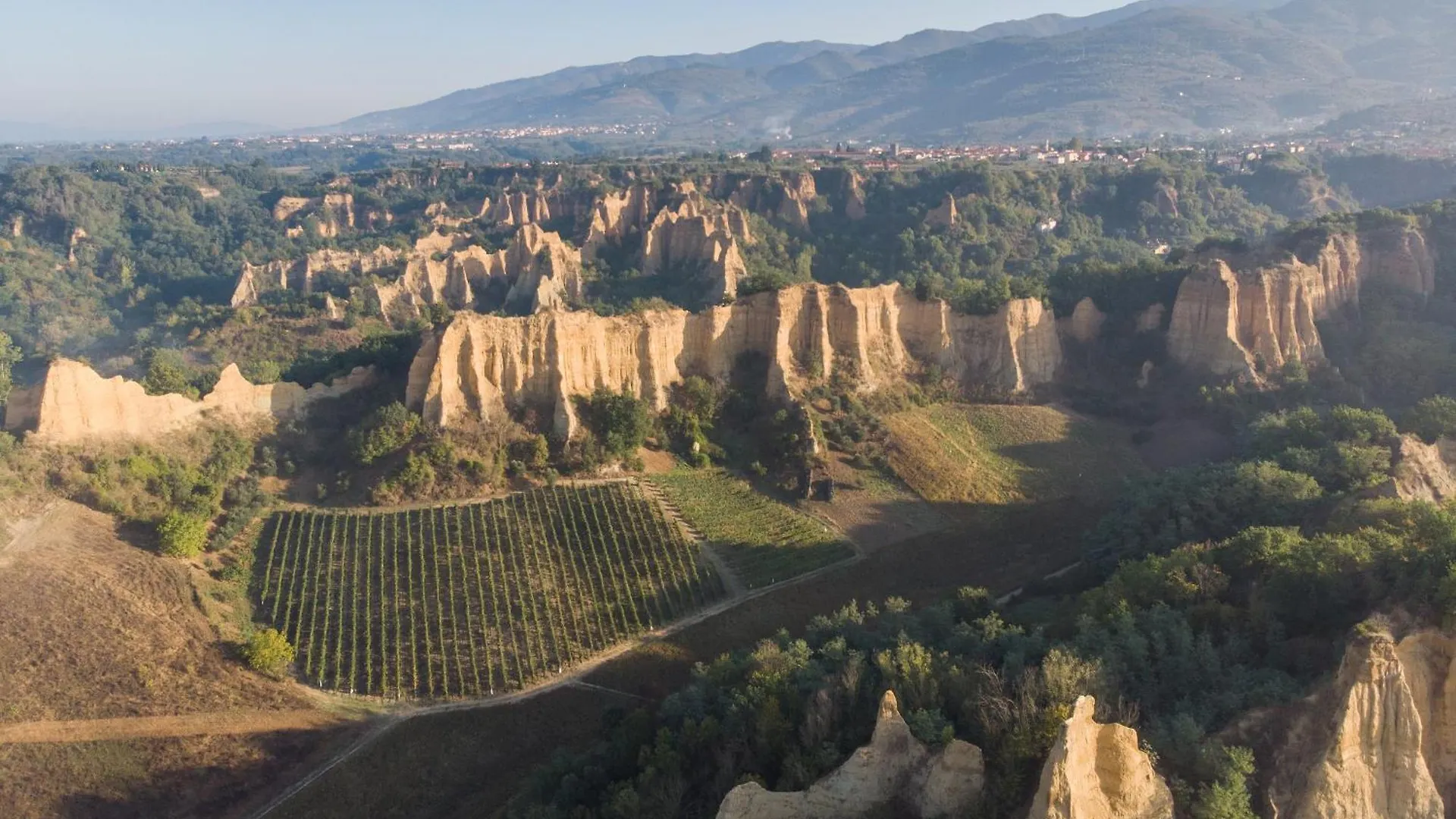 The Vineyard Nest In Arezzo Countryside - Happy Rentals Terranuova Bracciolini
