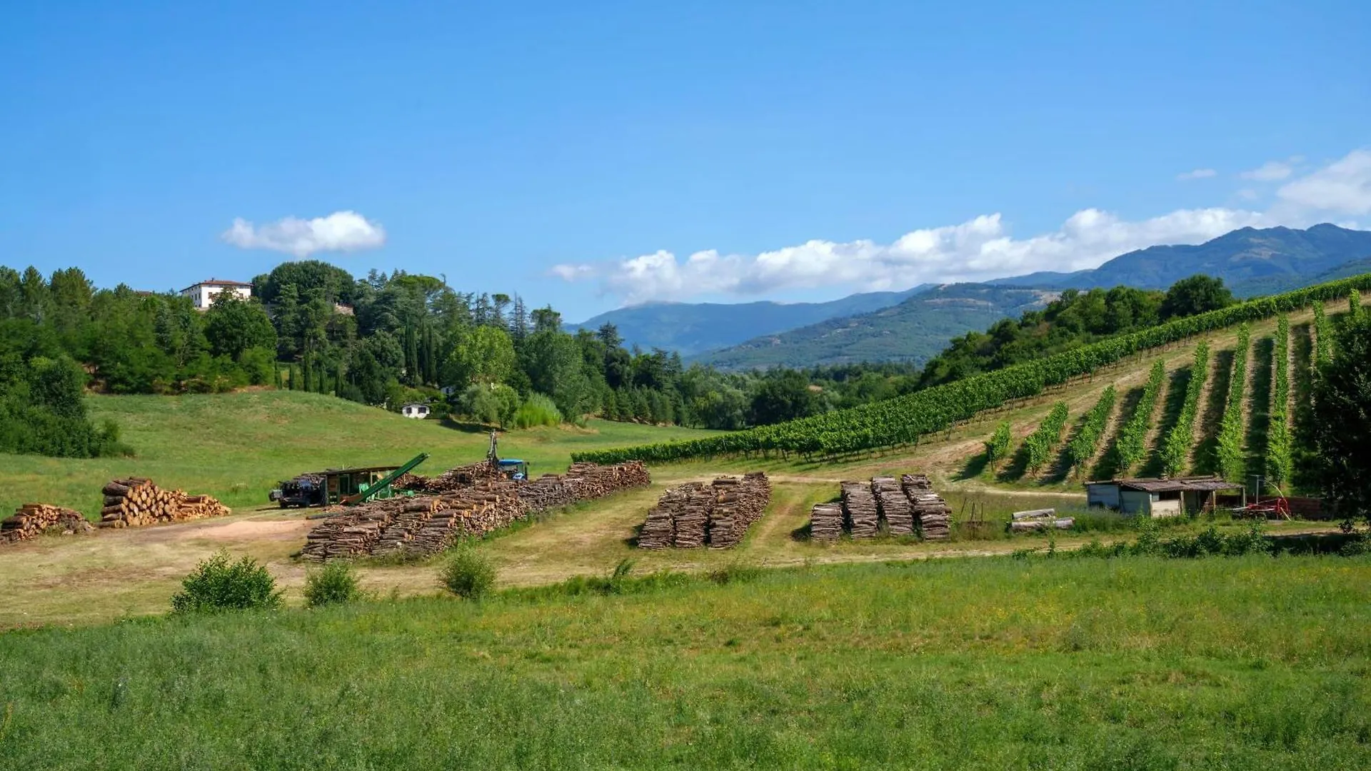 Apartment The Vineyard Nest In Arezzo Countryside - Happy Rentals Terranuova Bracciolini