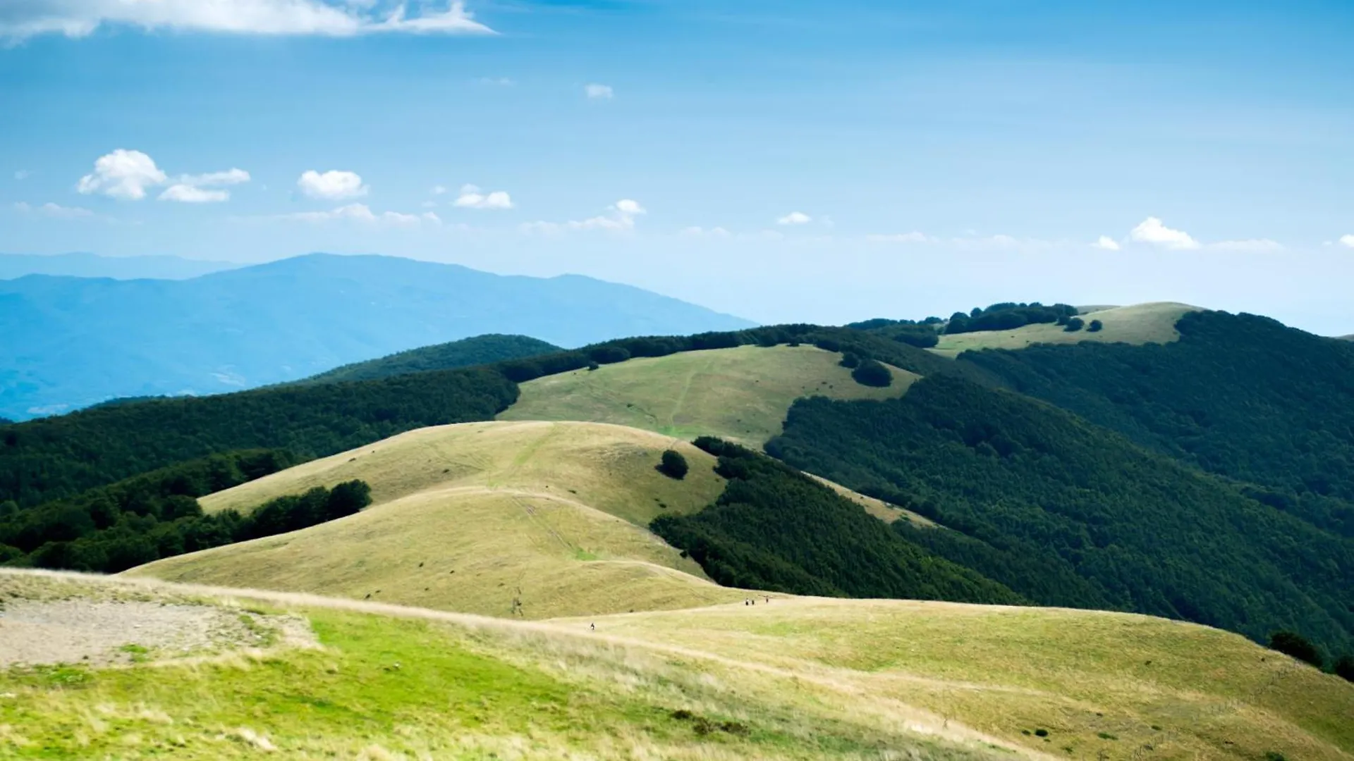 Family Tuscan Home Among The Vineyard - Happy Rentals Terranuova Bracciolini
