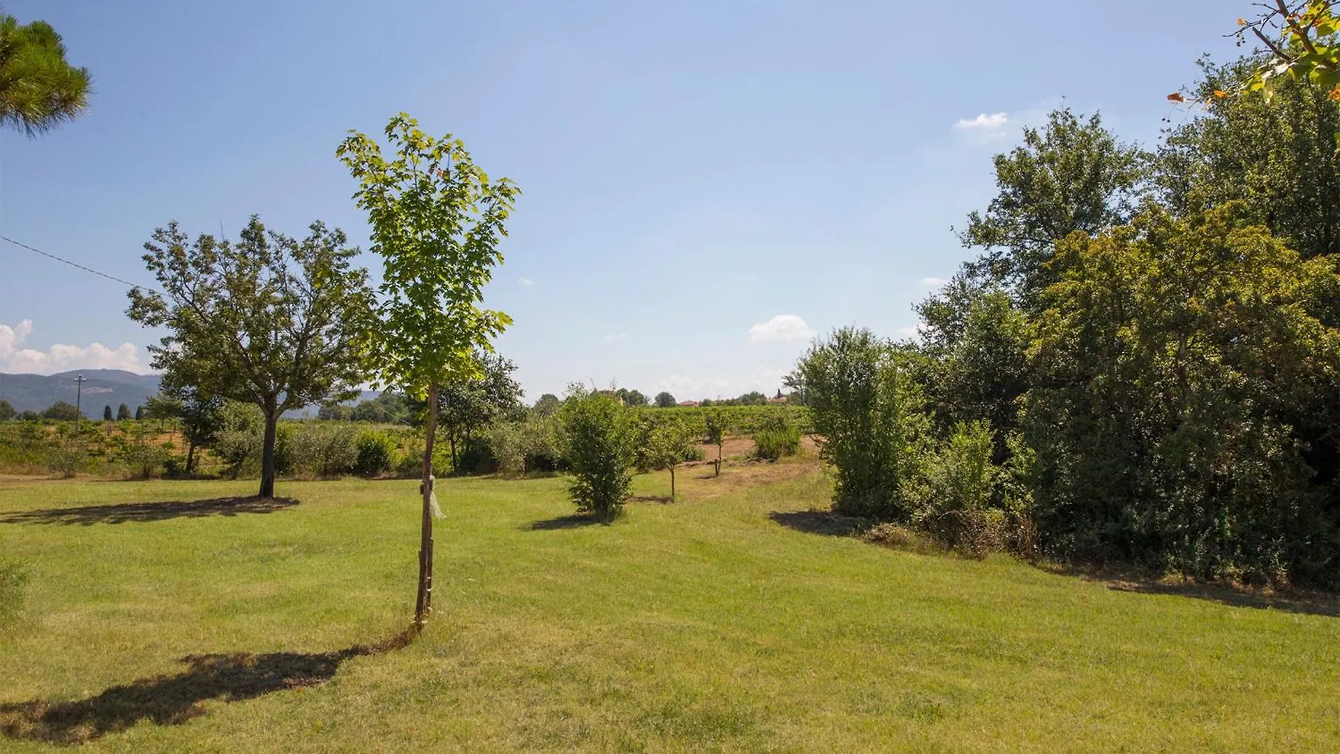 The Vineyard Nest In Arezzo Countryside - Happy Rentals Terranuova Bracciolini 0*,