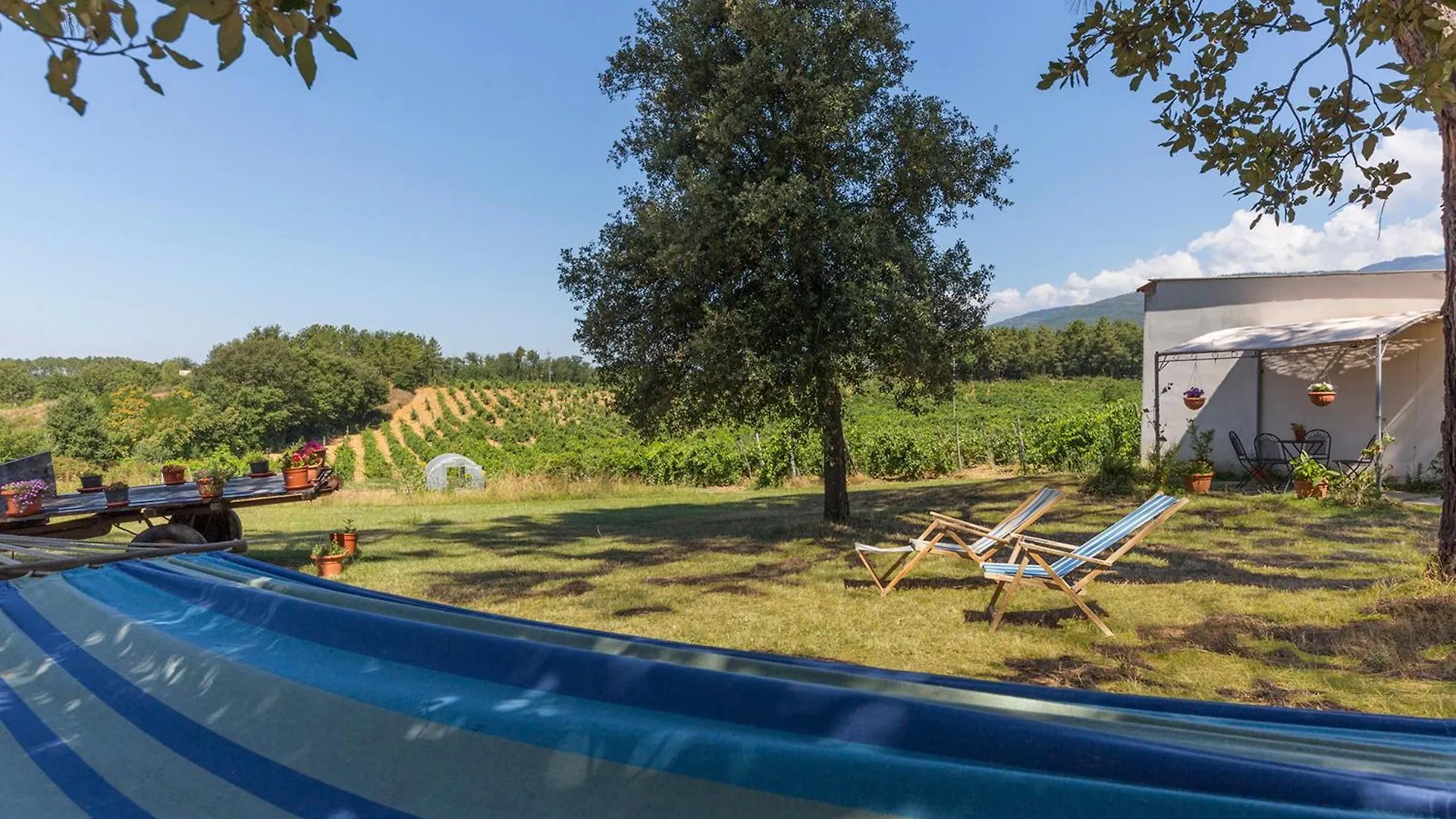 The Vineyard Nest In Arezzo Countryside - Happy Rentals Terranuova Bracciolini 0*,  Italy