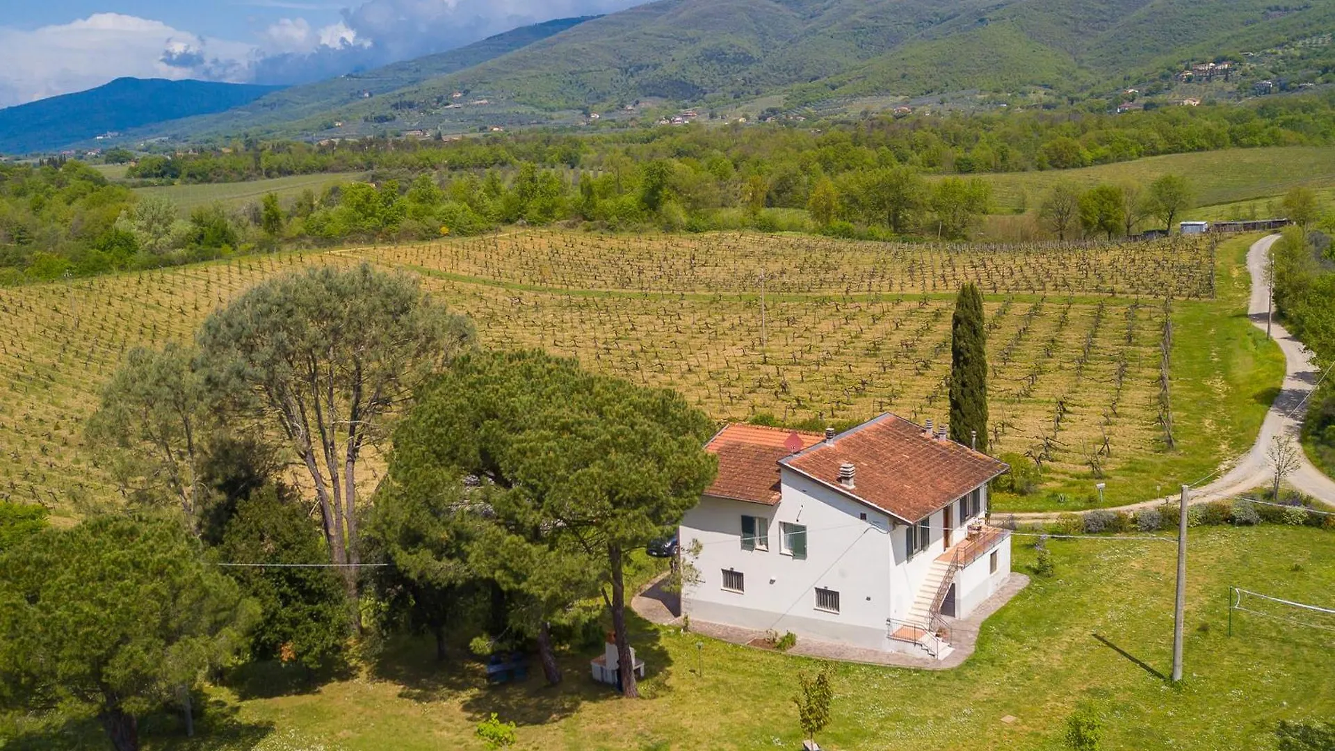 The Vineyard Nest In Arezzo Countryside - Happy Rentals Terranuova Bracciolini