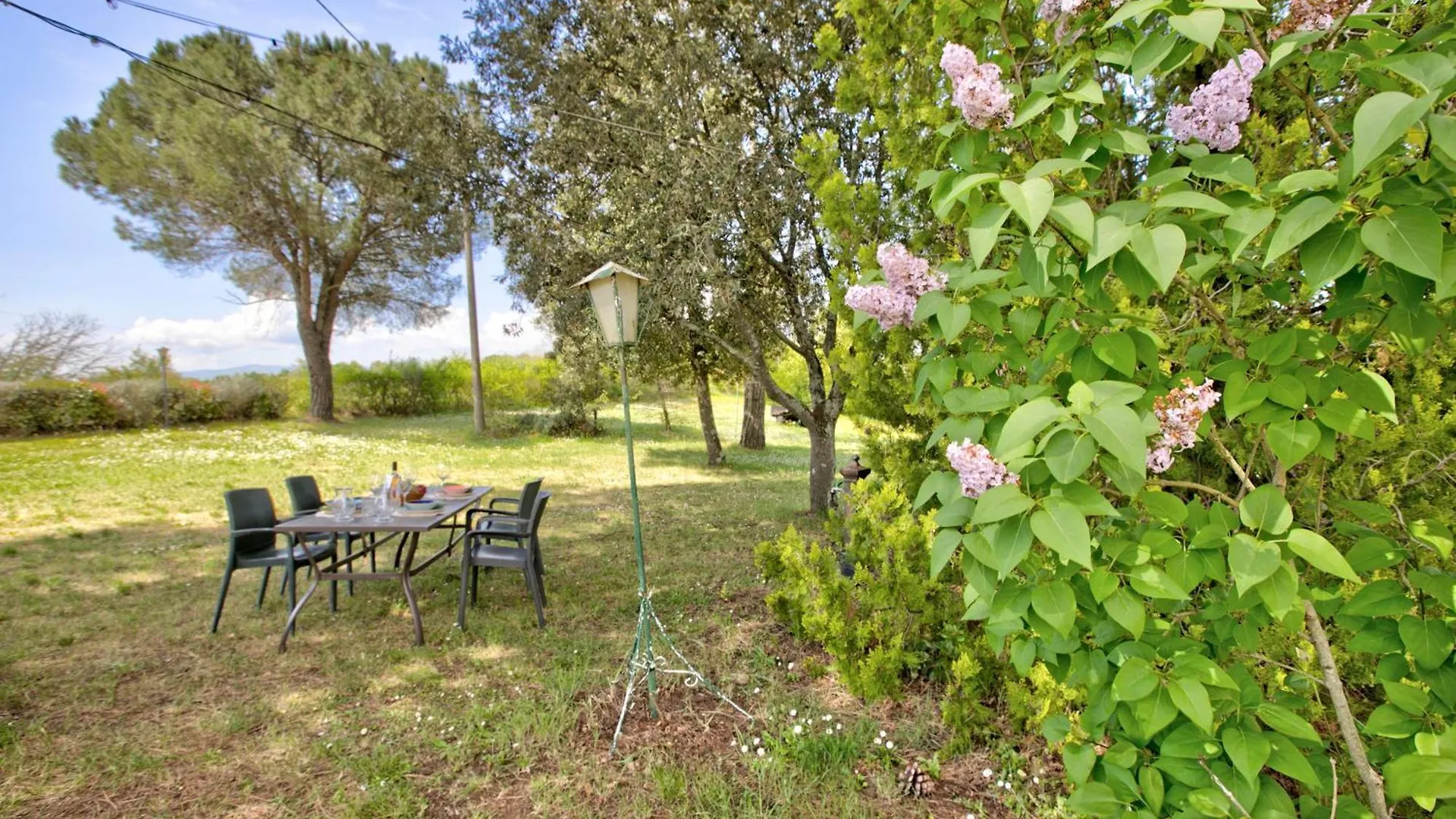 The Vineyard Nest In Arezzo Countryside - Happy Rentals Terranuova Bracciolini Apartment